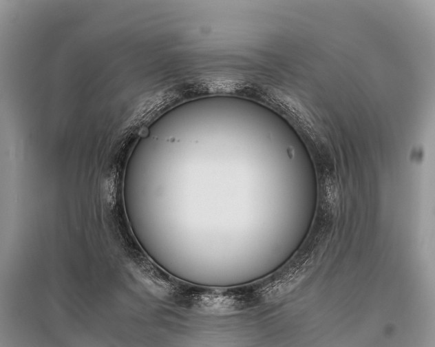 X0000096140311200801251047