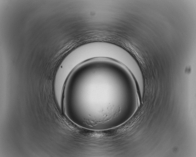 X0000096140313200801251047