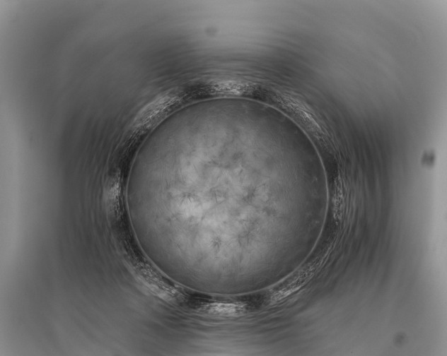 X0000096140314200801251047