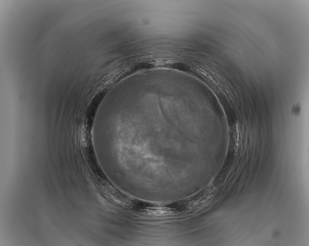 X0000096140316200801251047