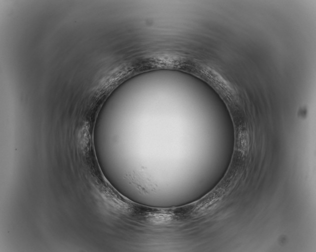 X0000096140318200801251047