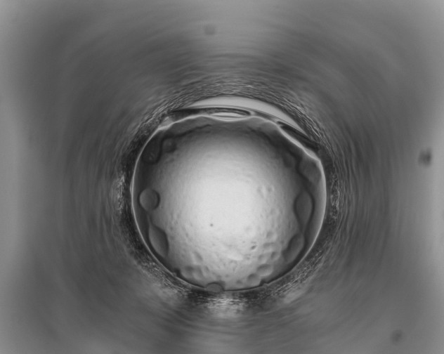 X0000096140319200801251047