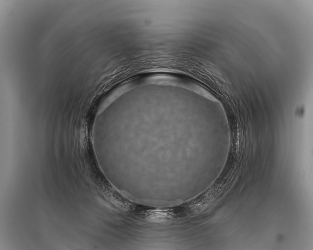 X0000096140320200801251047