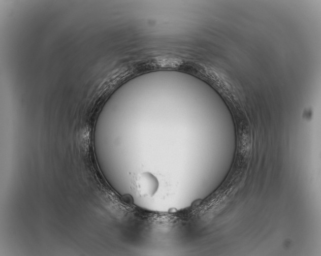 X0000096140321200801251047