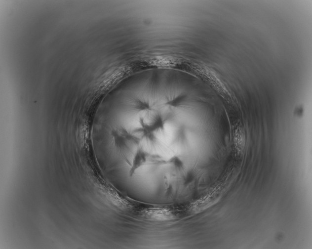 X0000096140322200801251047
