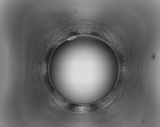 X0000096140323200801251047