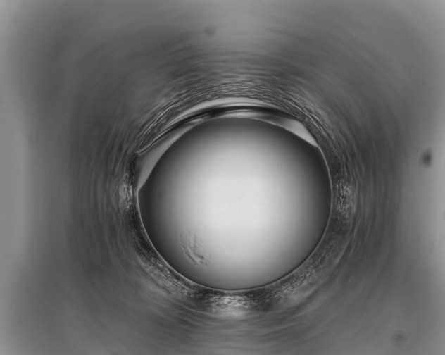 X0000096140324200801251047