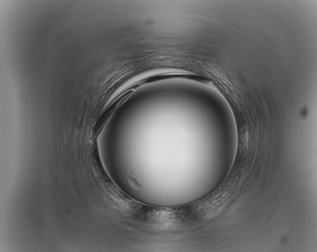 X0000096140325200801251047