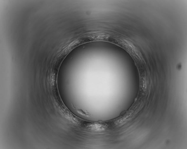 X0000096140326200801251047
