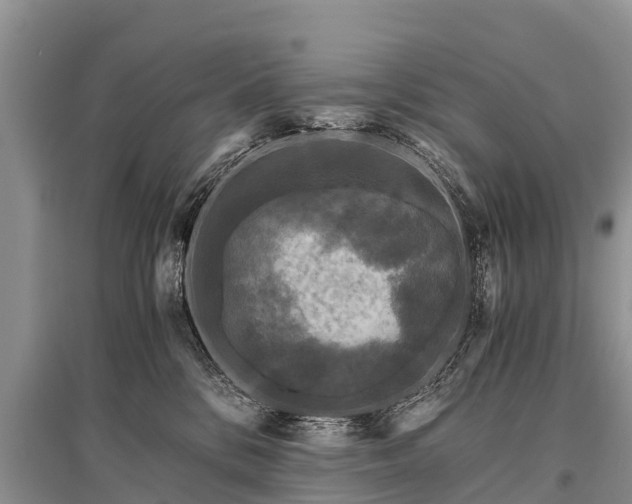X0000096140328200801251047