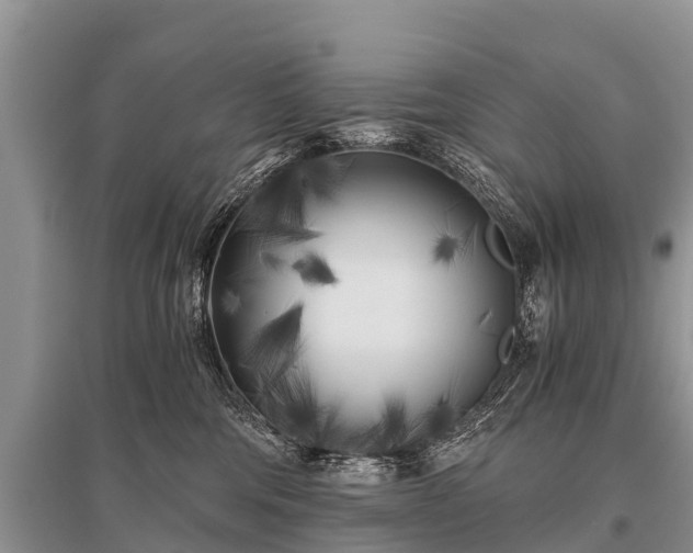 X0000096140330200801251047