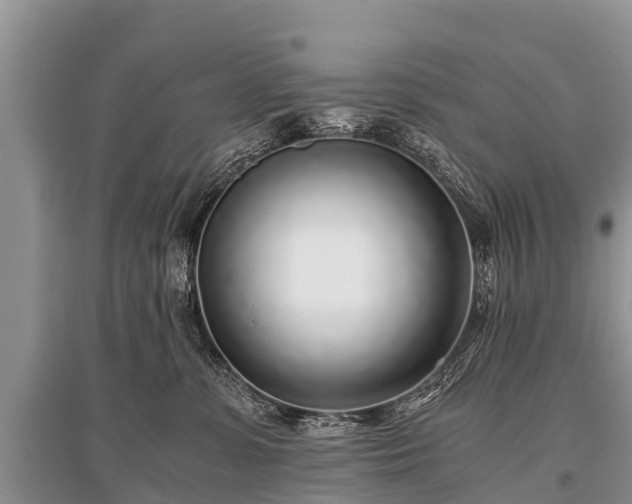 X0000096140331200801251047