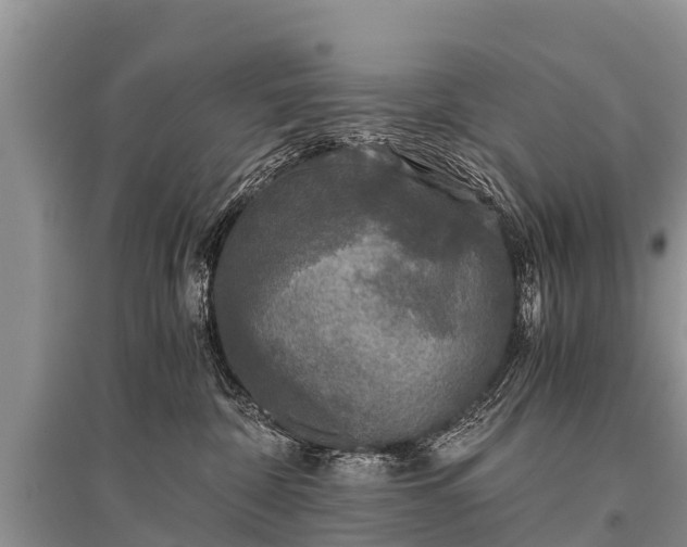 X0000096140332200801251047