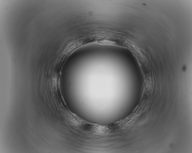 X0000096140333200801251047