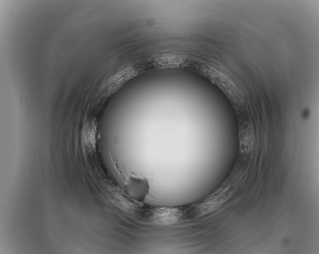X0000096140334200801251047