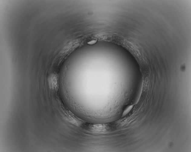 X0000096140335200801251047