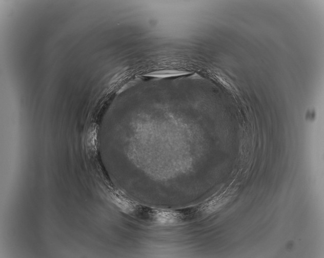 X0000096140336200801251047
