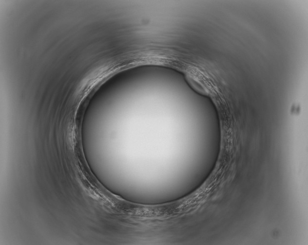 X0000096140338200801251046