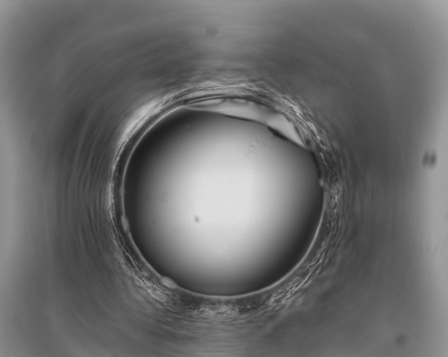 X0000096140340200801251046
