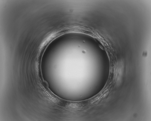 X0000096140341200801251046