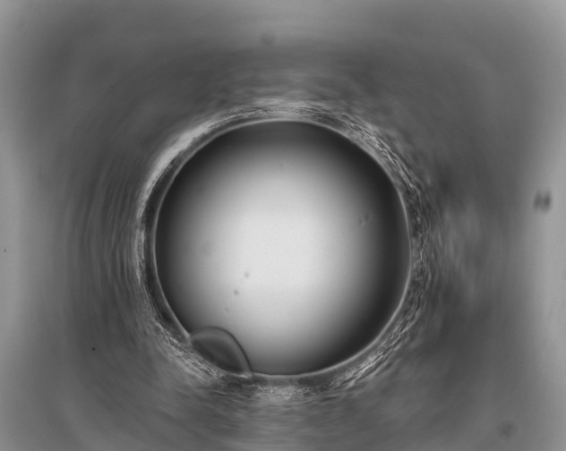 X0000096140342200801251046