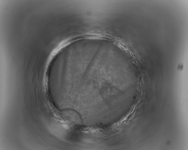 X0000096140343200801251046