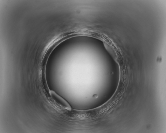 X0000096140344200801251046
