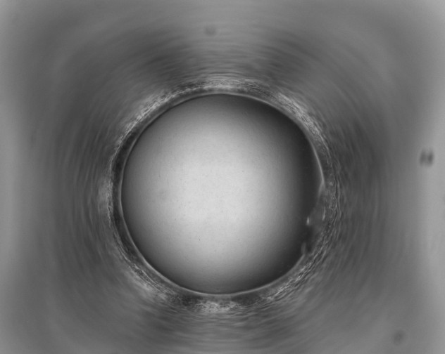 X0000096140346200801251046