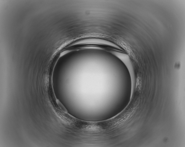 X0000096140348200801251046