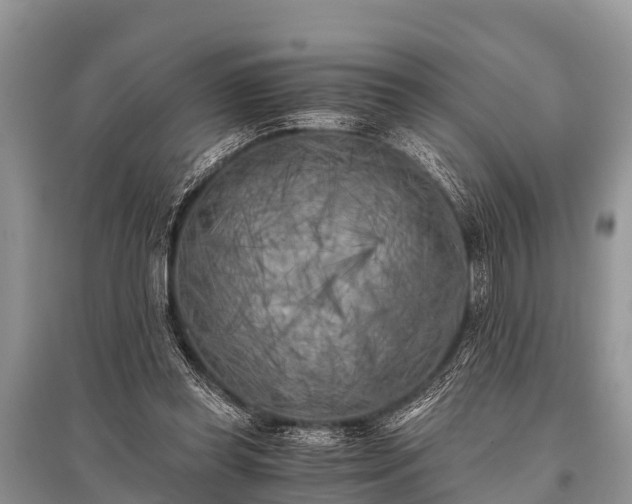 X0000096140349200801251046