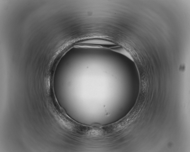 X0000096140350200801251046