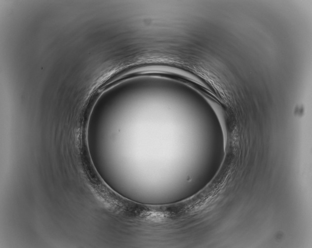 X0000096140352200801251047