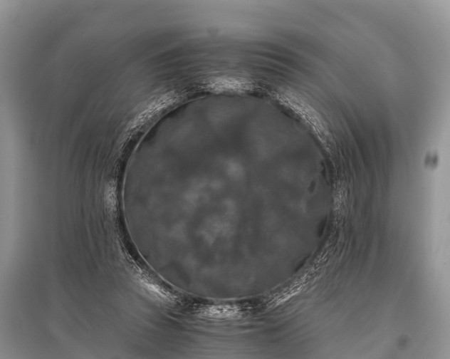 X0000096140353200801251047