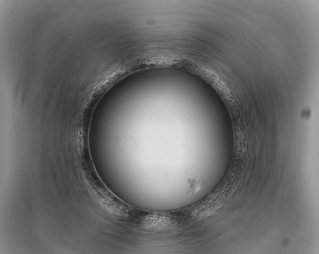 X0000096140354200801251047