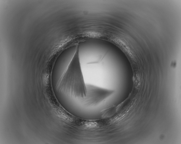 X0000096140355200801251047