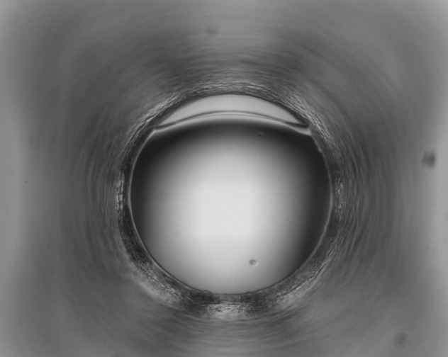 X0000096140356200801251047