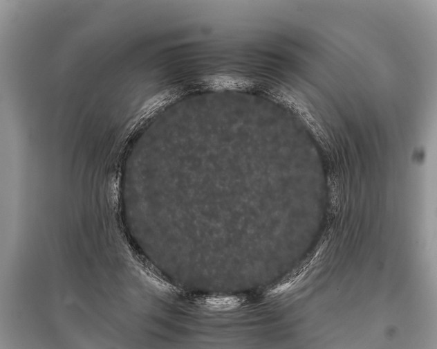 X0000096140357200801251047