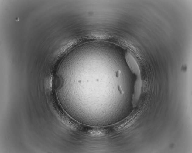 X0000096140358200801251047