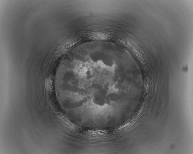X0000096140359200801251047