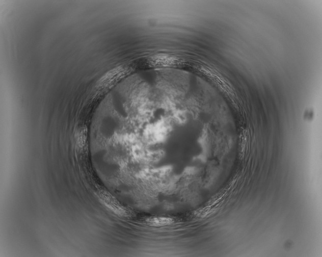 X0000096140361200801251047