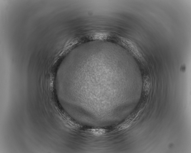 X0000096140363200801251047