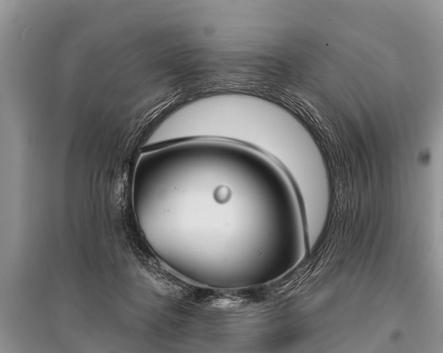 X0000096140364200801251047