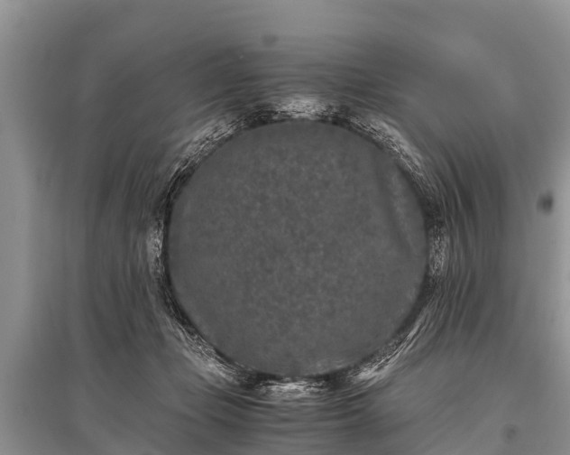 X0000096140365200801251047