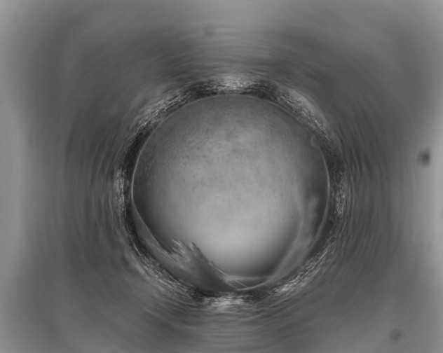 X0000096140366200801251047