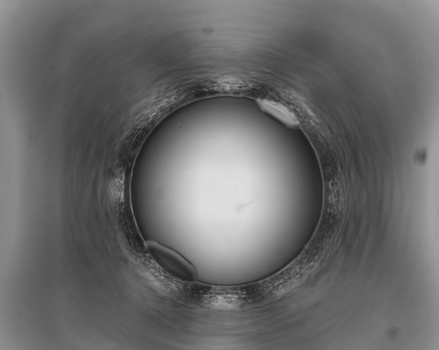 X0000096140368200801251047