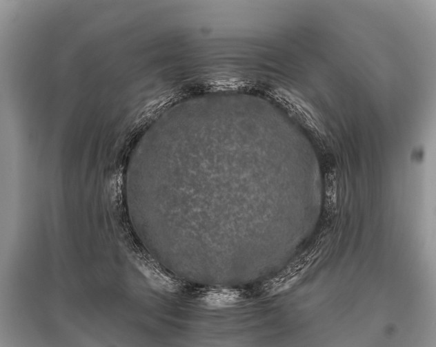 X0000096140369200801251047