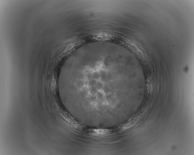 X0000096140371200801251047