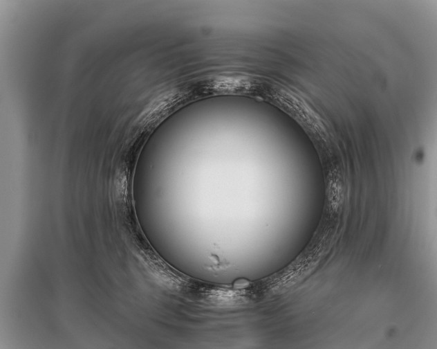 X0000096140375200801251047