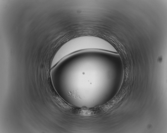 X0000096140376200801251047
