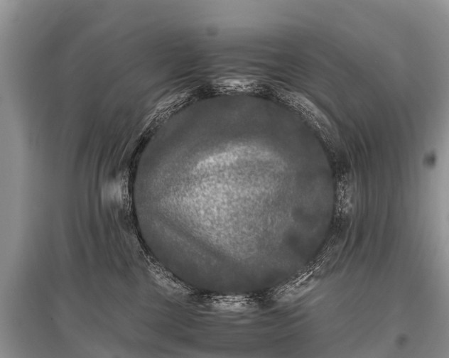 X0000096140377200801251047